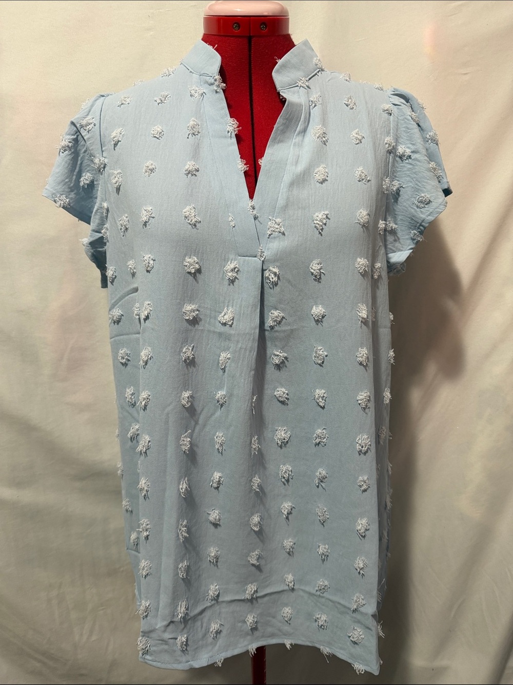 Light Blue Textured Short Sleeve Tunic Top